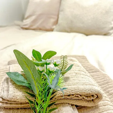 Comfortable Apartment, Excellent Location 公寓